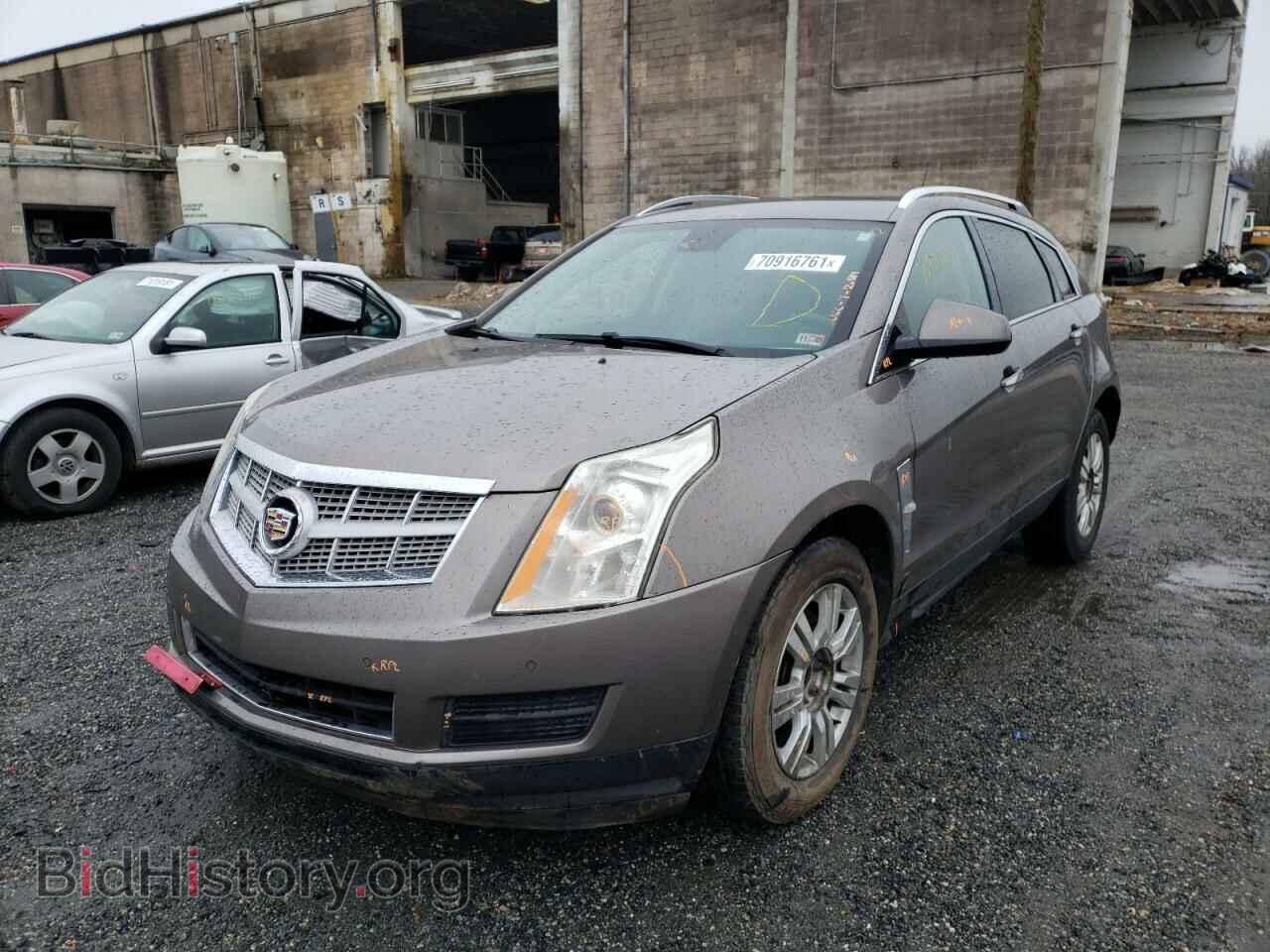 2011 CADILLAC SRX - VIN: 3GYFNDEY8BS546049 - Фото 2