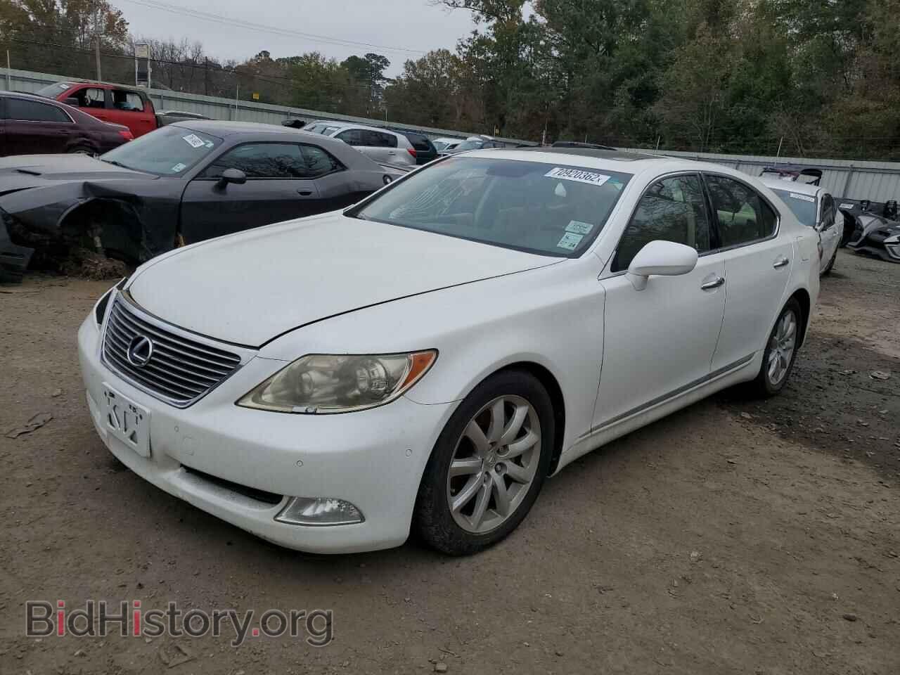 Photo JTHBL46F685079254 - LEXUS LS460 2008