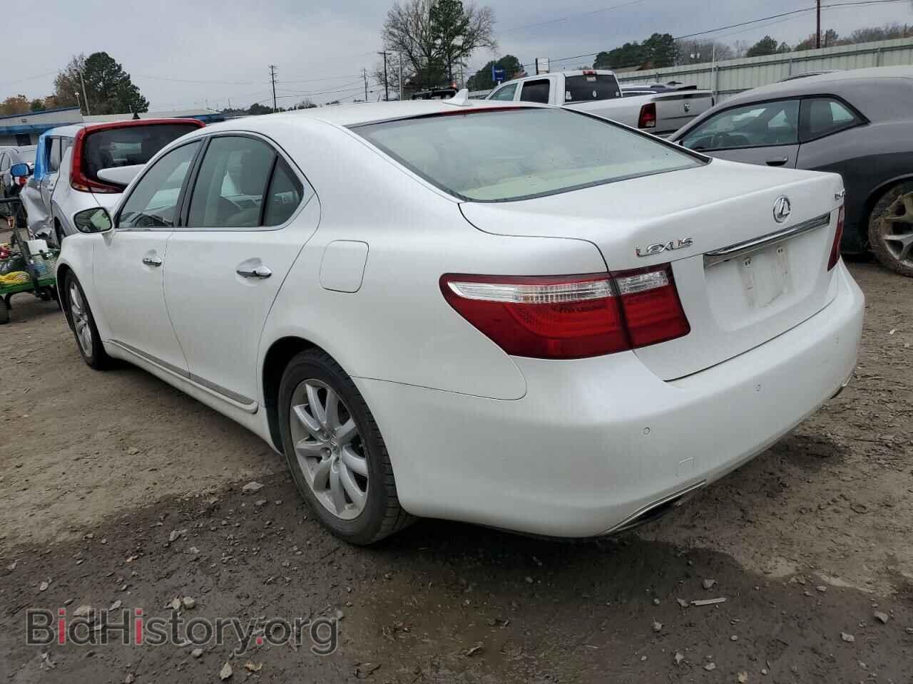 2008 LEXUS LS460 - VIN: JTHBL46F685079254 - Фото 2