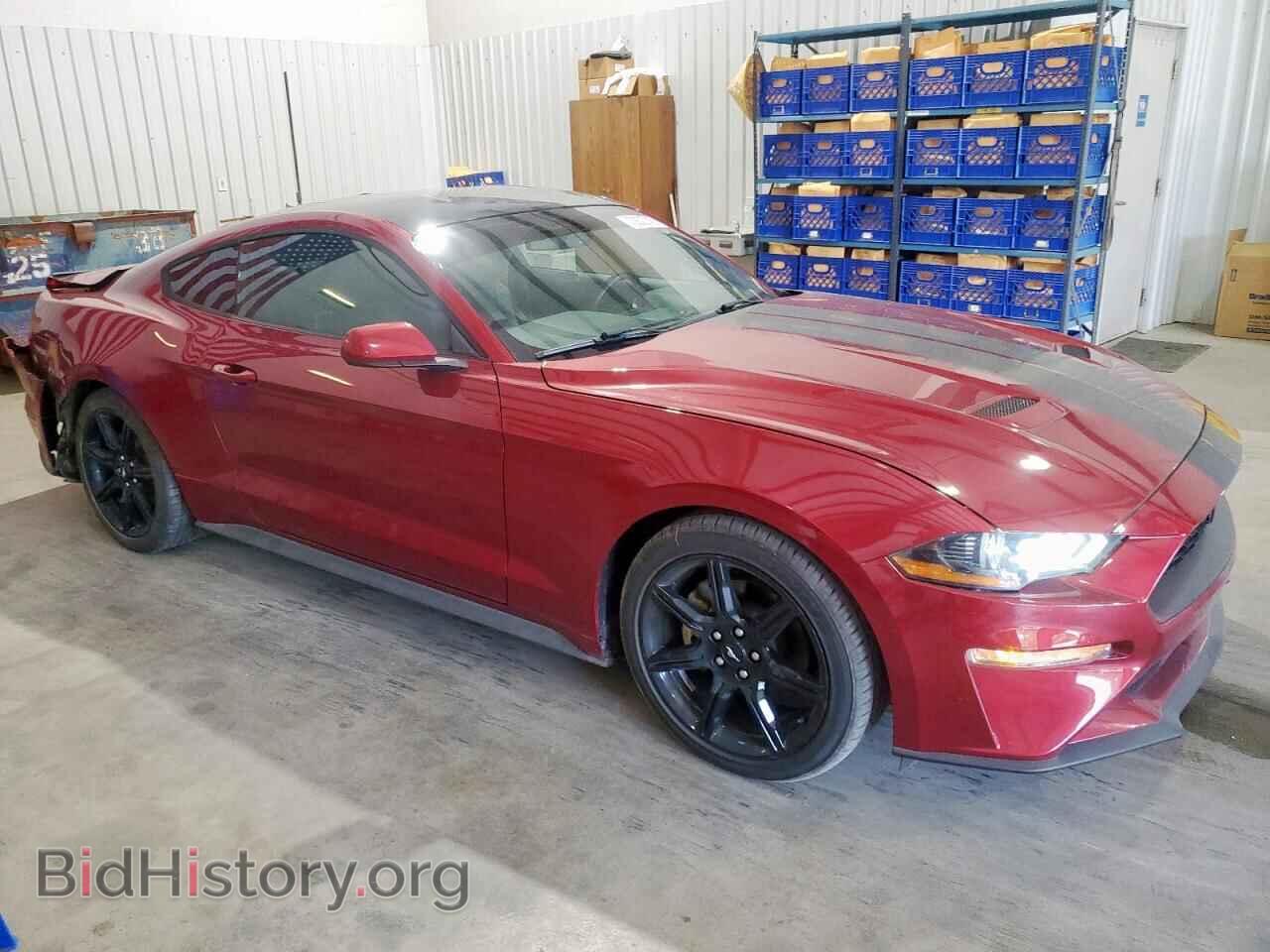 2019 FORD ALL Models - VIN: 1FA6P8TH7K5129385 - Photo 4