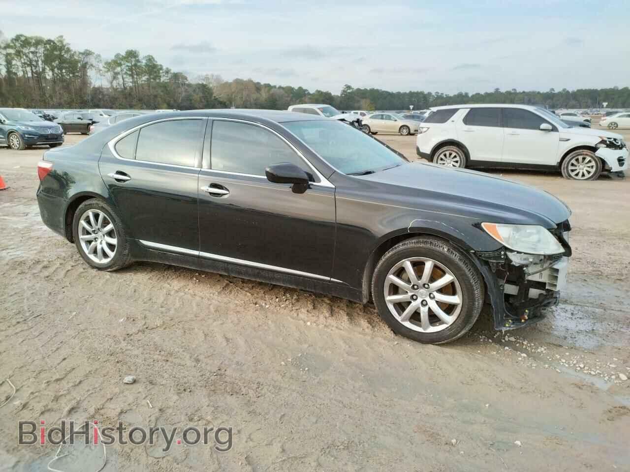 2009 LEXUS LS460 - VIN: JTHBL46F295087031 - Photo 4