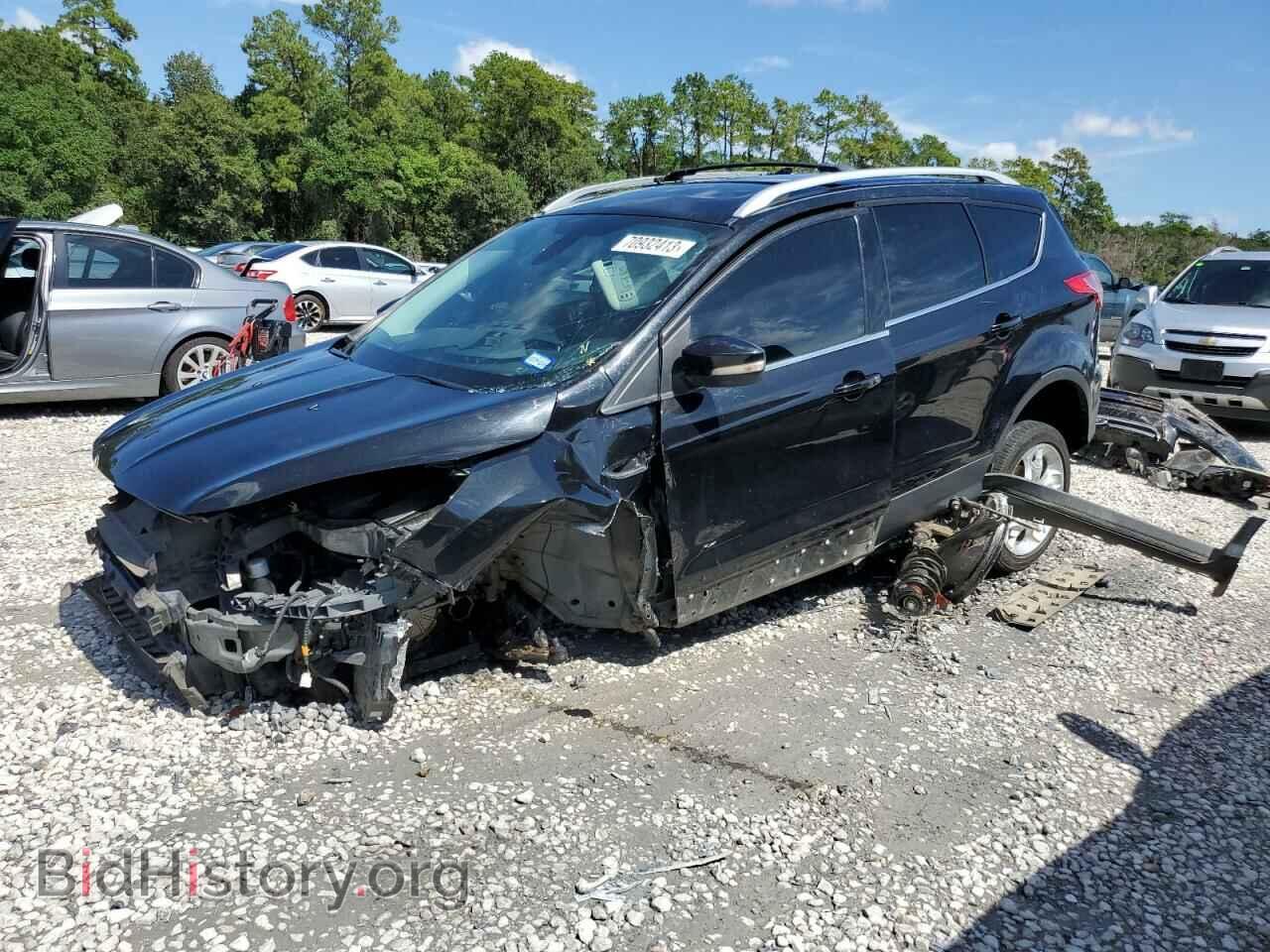 Фотография 1FMCU0J94DUB00157 - FORD ESCAPE 2013
