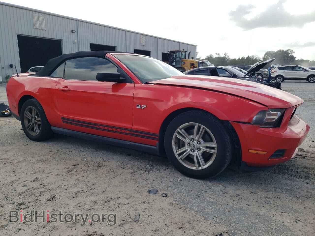 2011 FORD ALL Models - VIN: 1ZVBP8EM8B5117178 - Фото 4