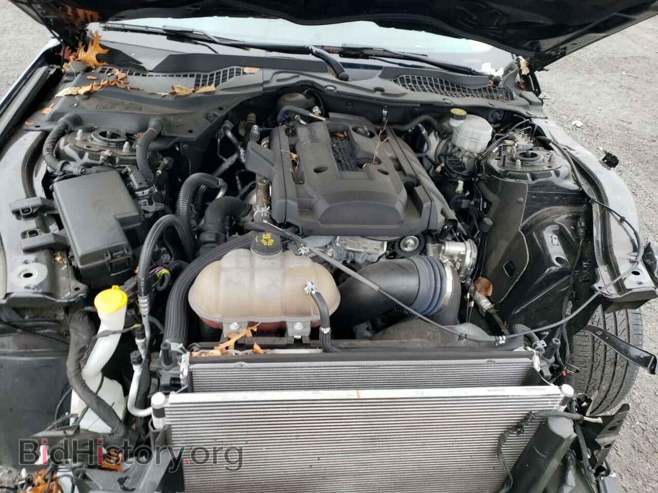 2019 FORD MUSTANG - VIN: 1FA6P8TH3K5147205 - Фото 7