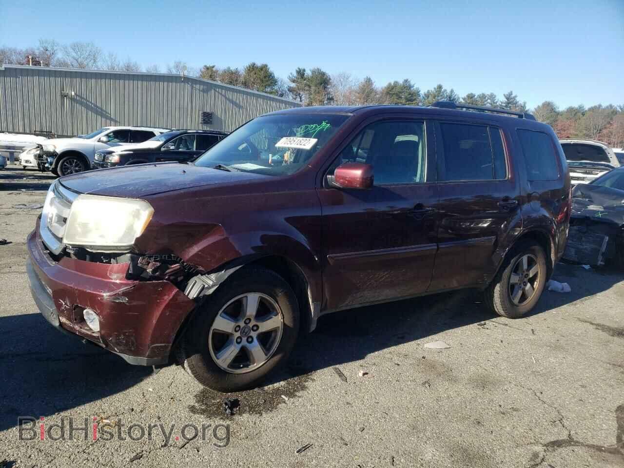 Фотография 5FNYF48659B021300 - HONDA PILOT 2009