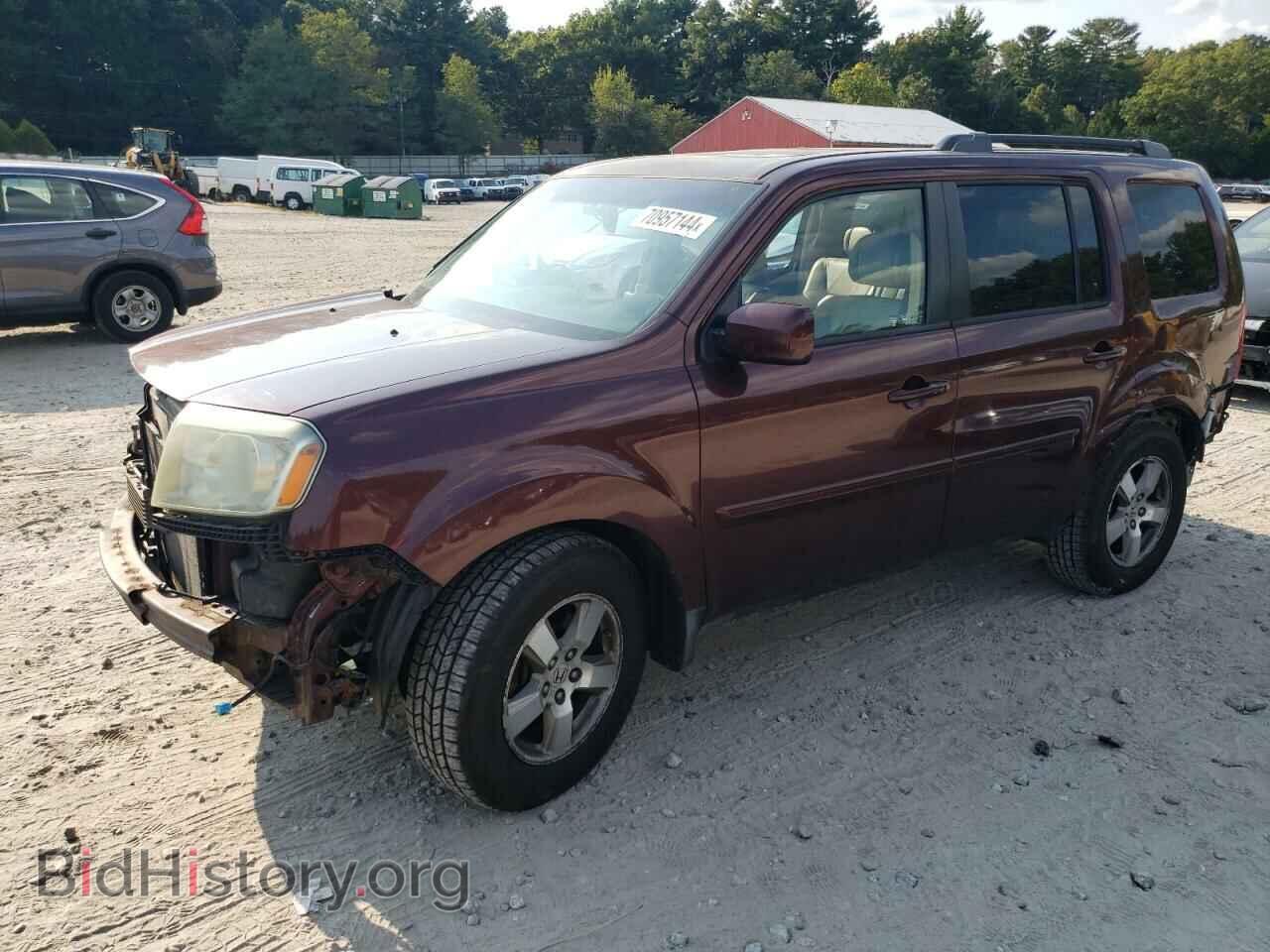 Фотография 5FNYF48649B020011 - HONDA PILOT 2009
