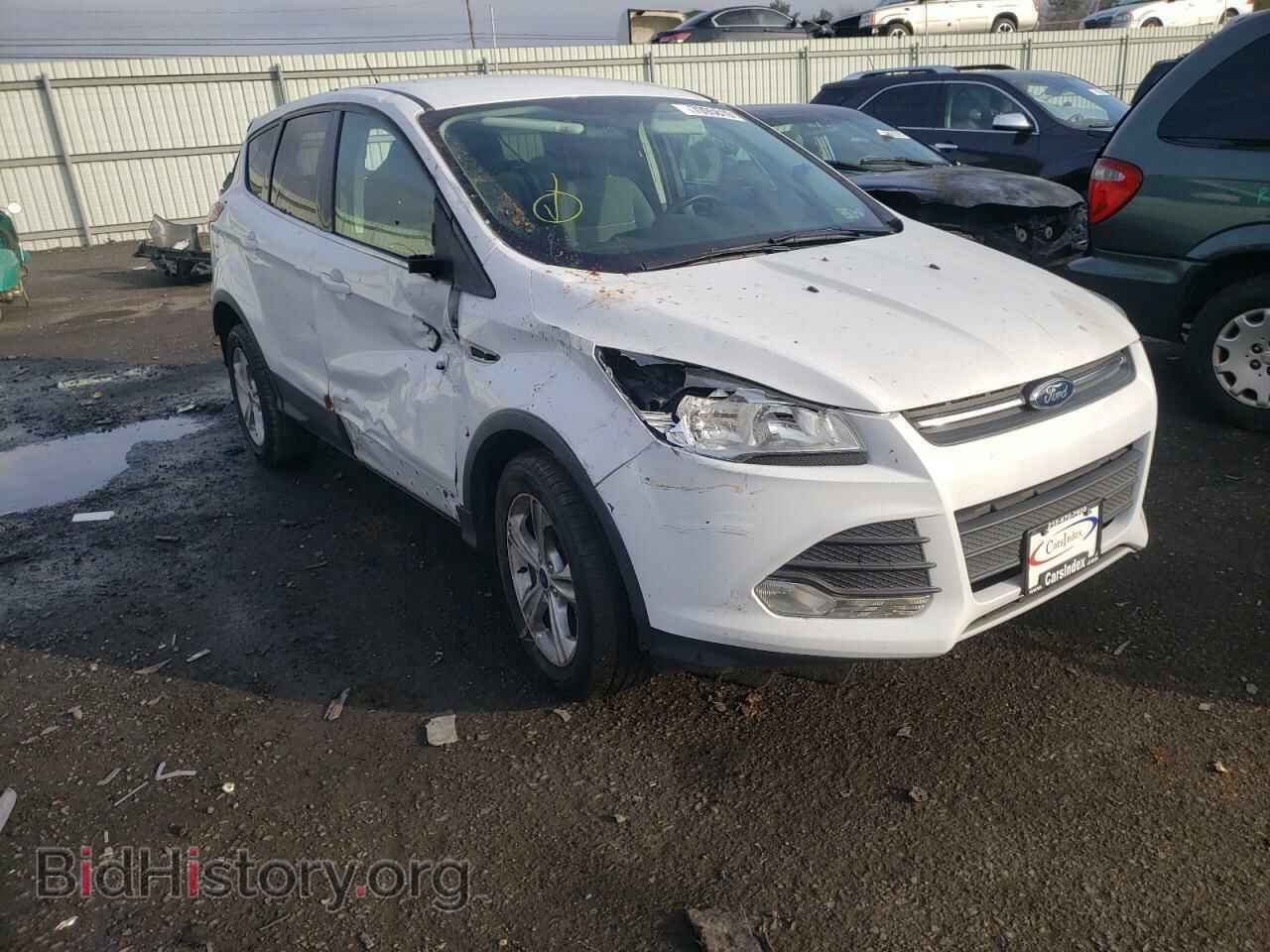 Фотография 1FMCU0GX4EUA81083 - FORD ESCAPE 2014