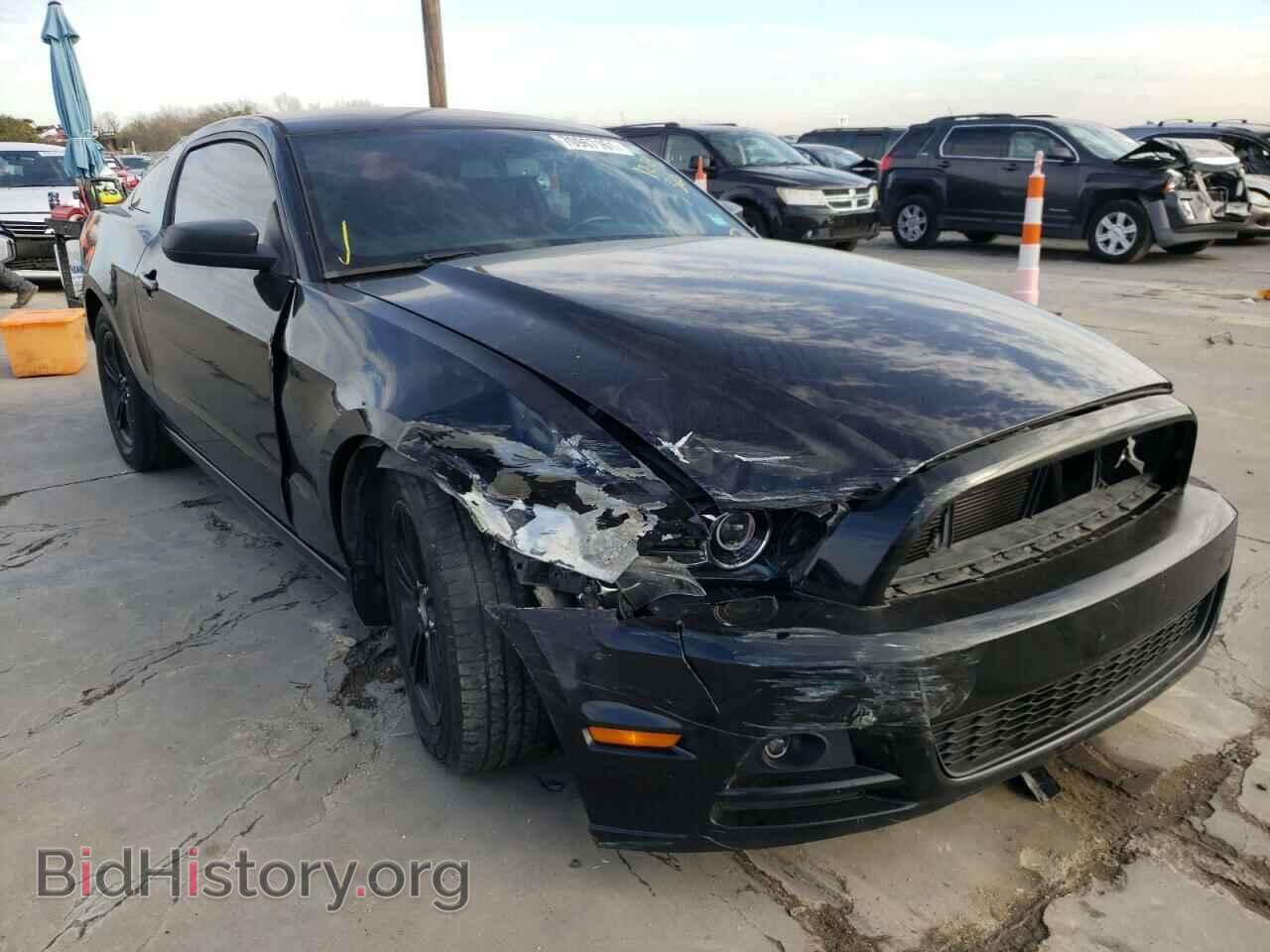 Фотография 1ZVBP8AM9E5219325 - FORD MUSTANG 2014
