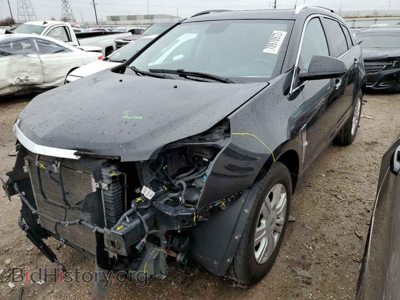 Фотография 3GYFNAE39CS609874 - CADILLAC SRX 2012