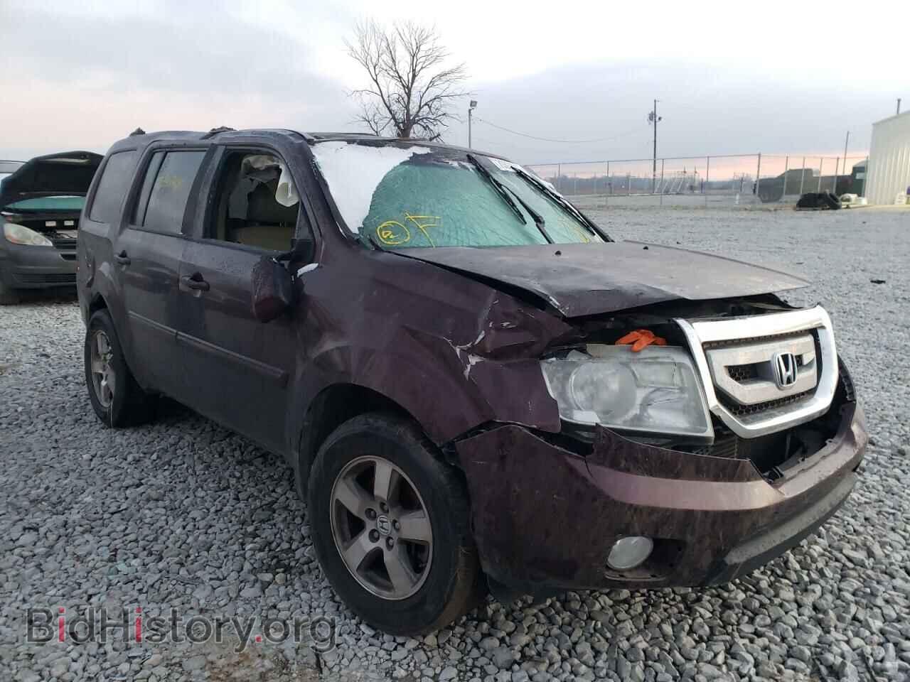 Photo 5FNYF3H6XAB012154 - HONDA PILOT 2010