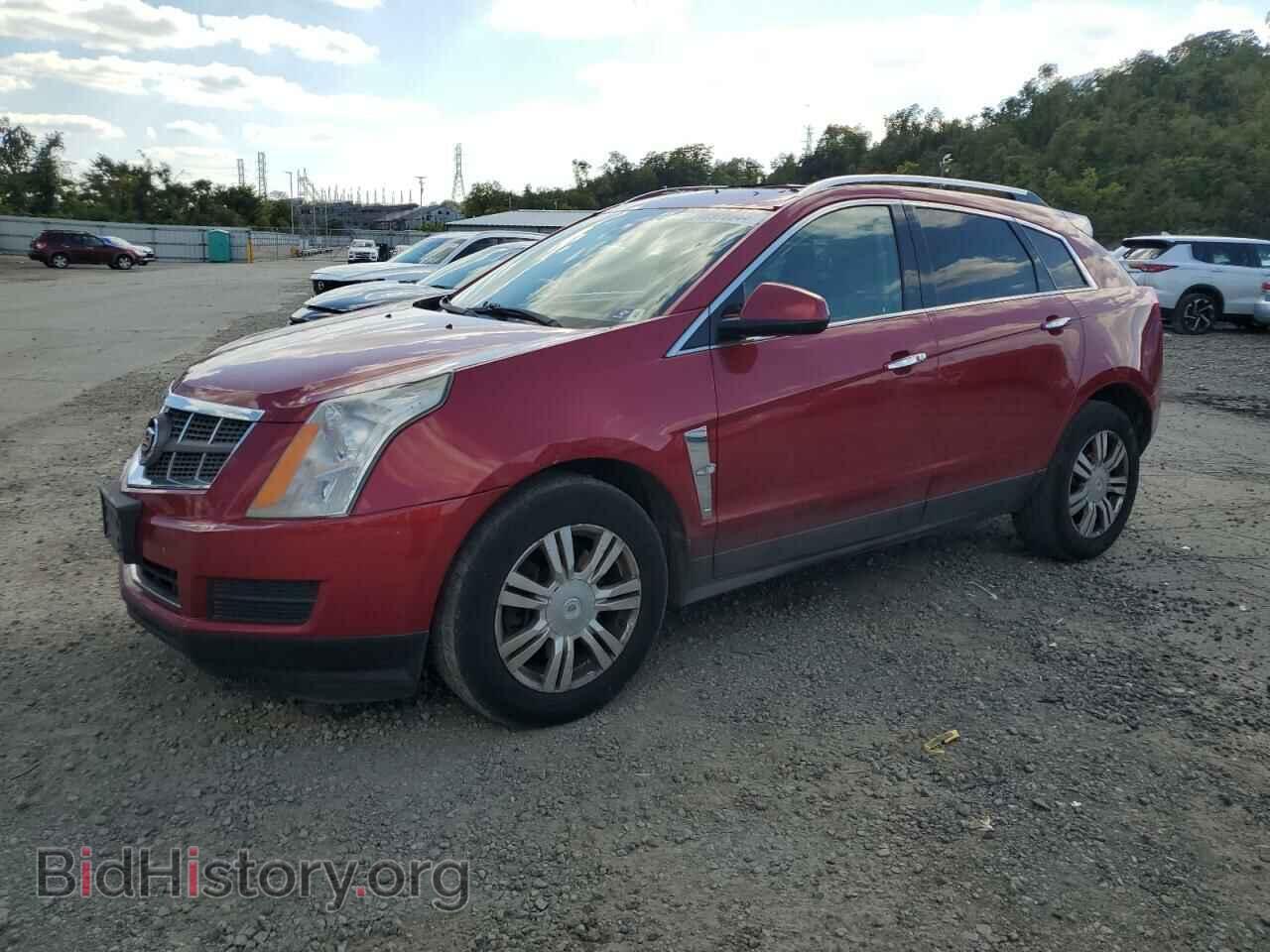 Фотография 3GYFNDEY3BS595224 - CADILLAC SRX 2011
