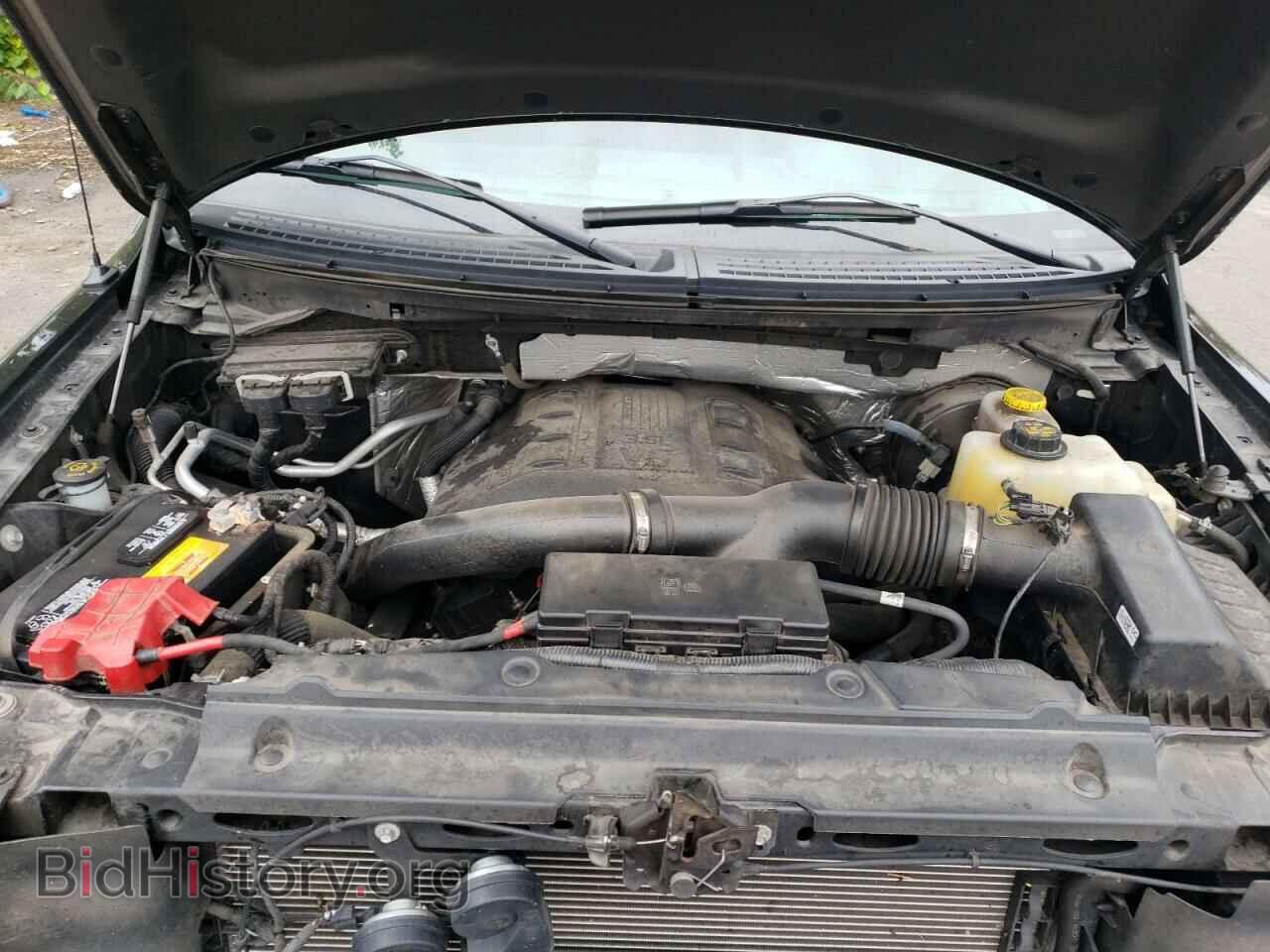 2014 FORD All Models - VIN: 1FTMF1CT1EFB17683 - Photo 11