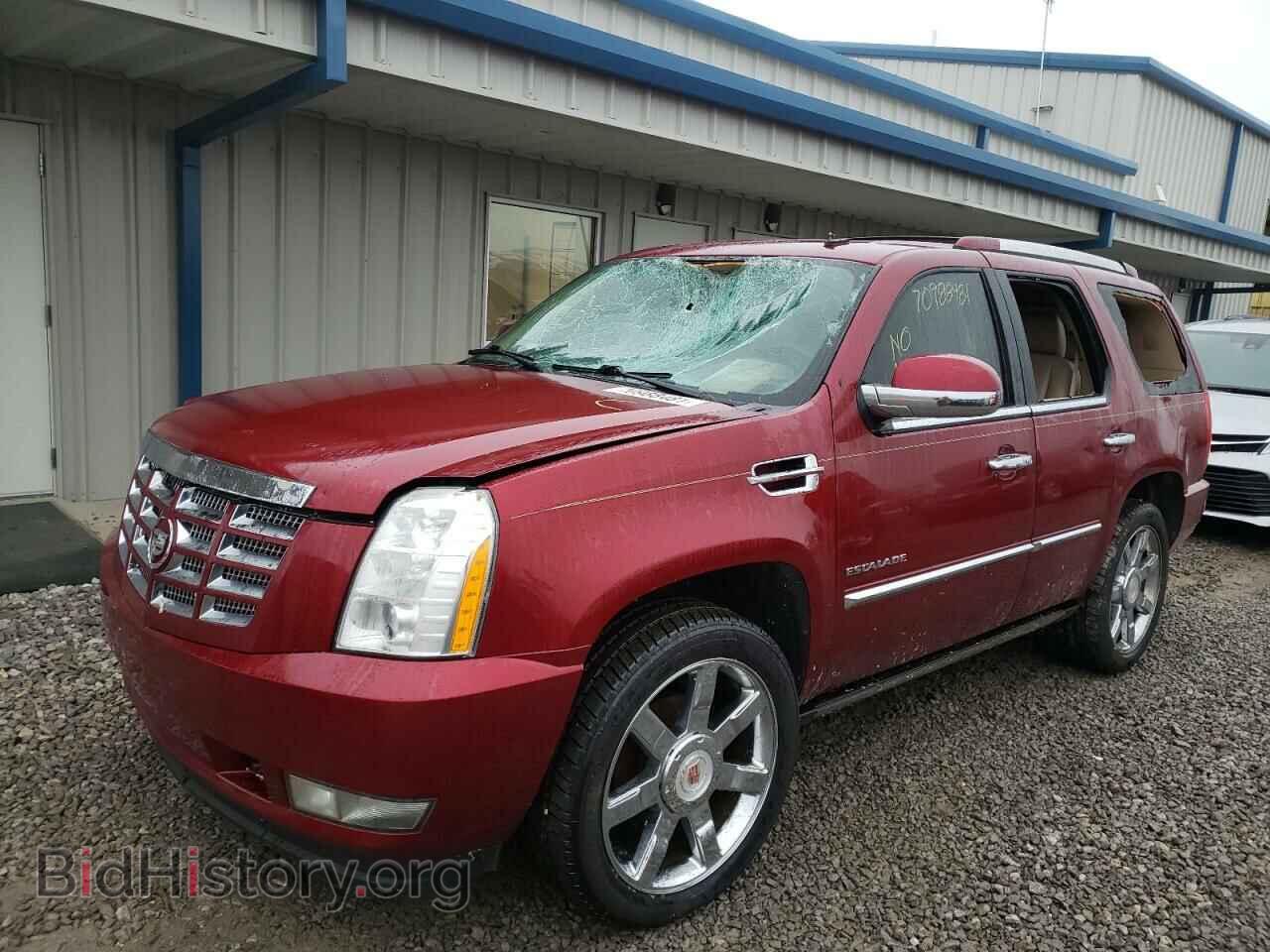 2011 CADILLAC ESCALADE - VIN: 1GYS4CEF1BR208683 - Фото 2