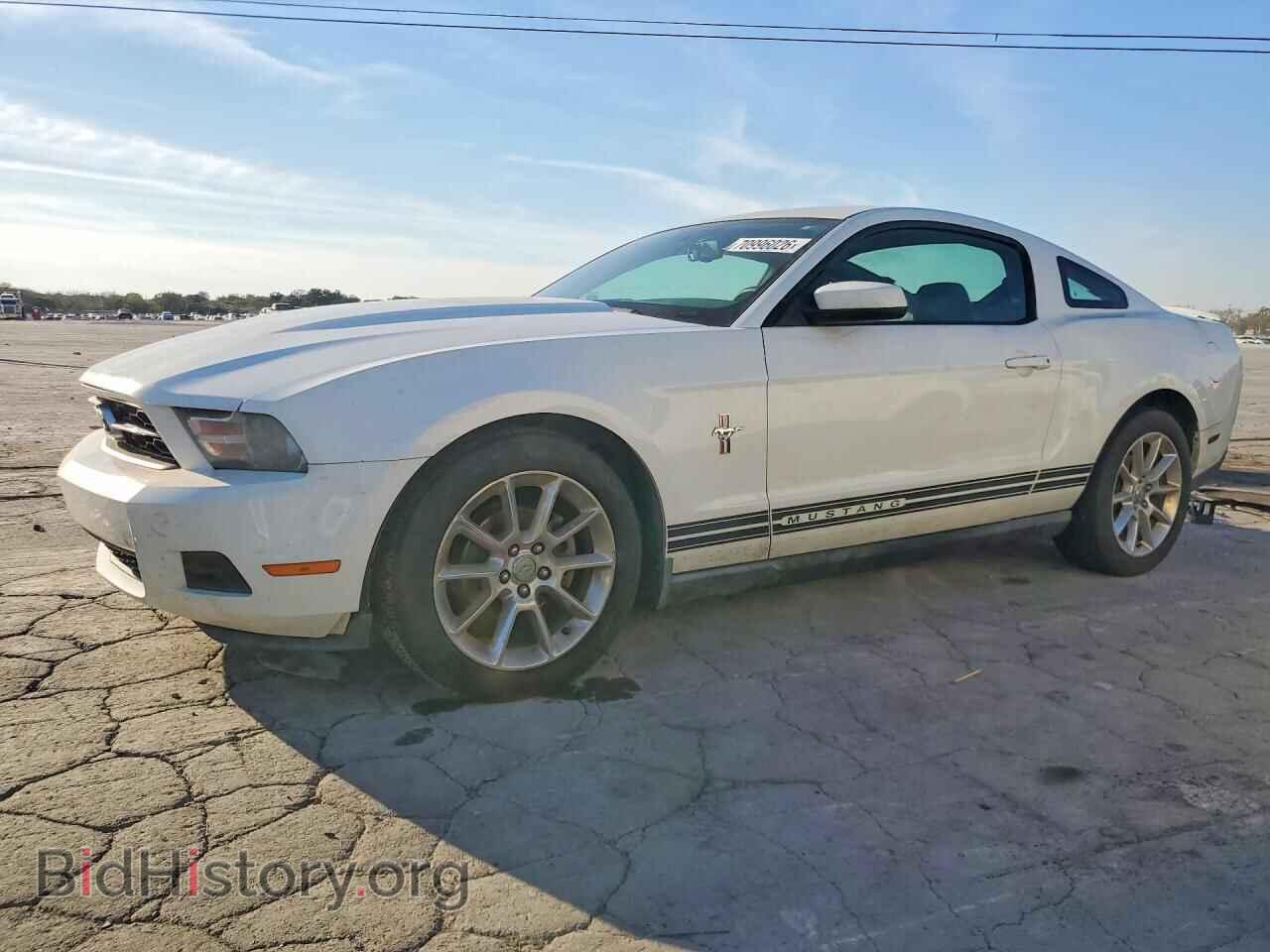 Фотография 1ZVBP8AN2A5118775 - FORD MUSTANG 2010