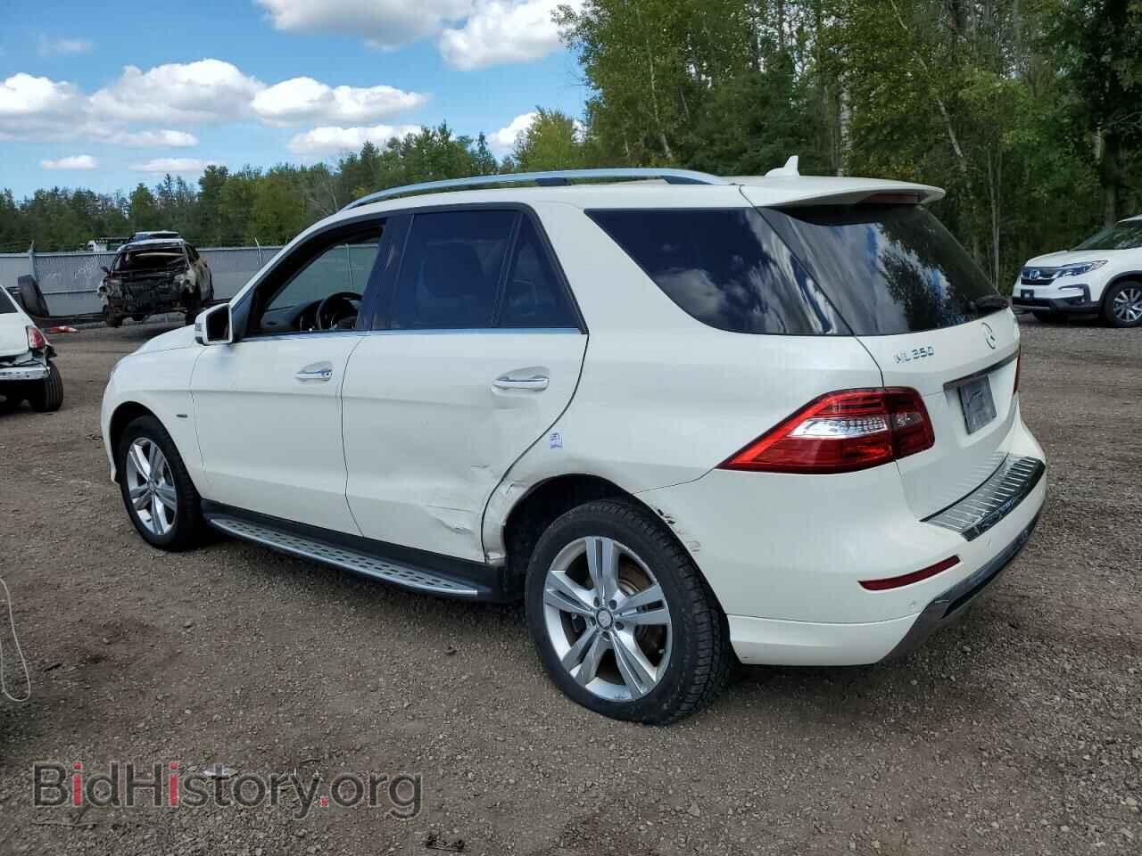 2012 MERCEDES-BENZ M-CLASS - VIN: 4JGDA2EBXCA034770 - Фото 2