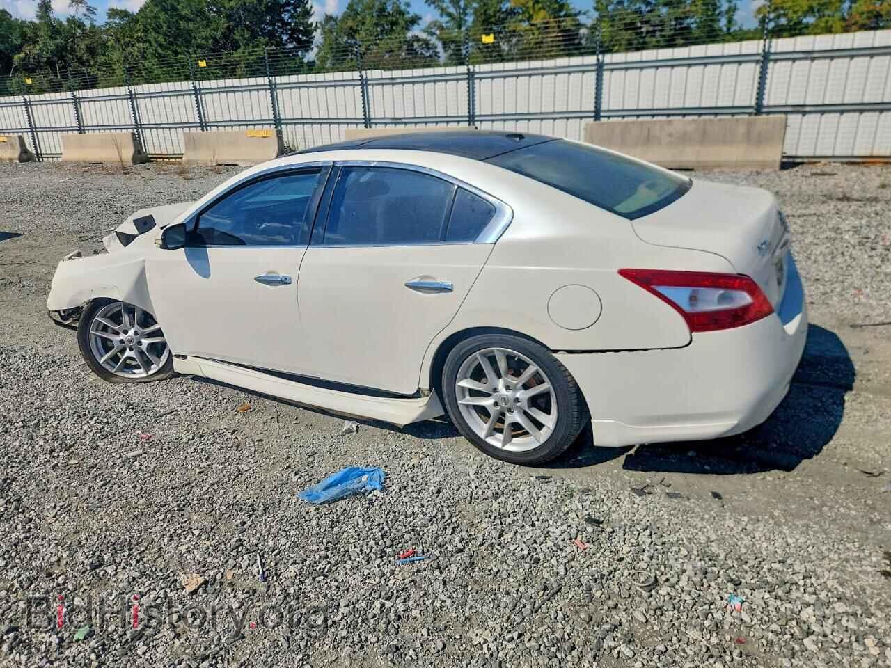 2009 NISSAN MAXIMA - VIN: 1N4AA51E09C854769 - Фото 2