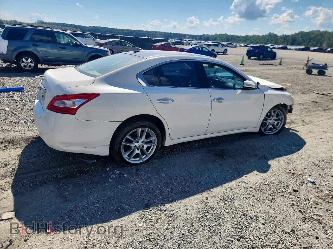 2009 NISSAN MAXIMA - VIN: 1N4AA51E09C854769 - Фото 3