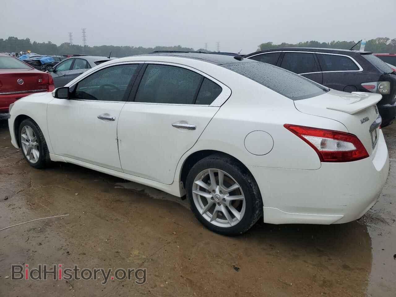 2011 NISSAN MAXIMA - VIN: 1N4AA5AP2BC832487 - Фото 2