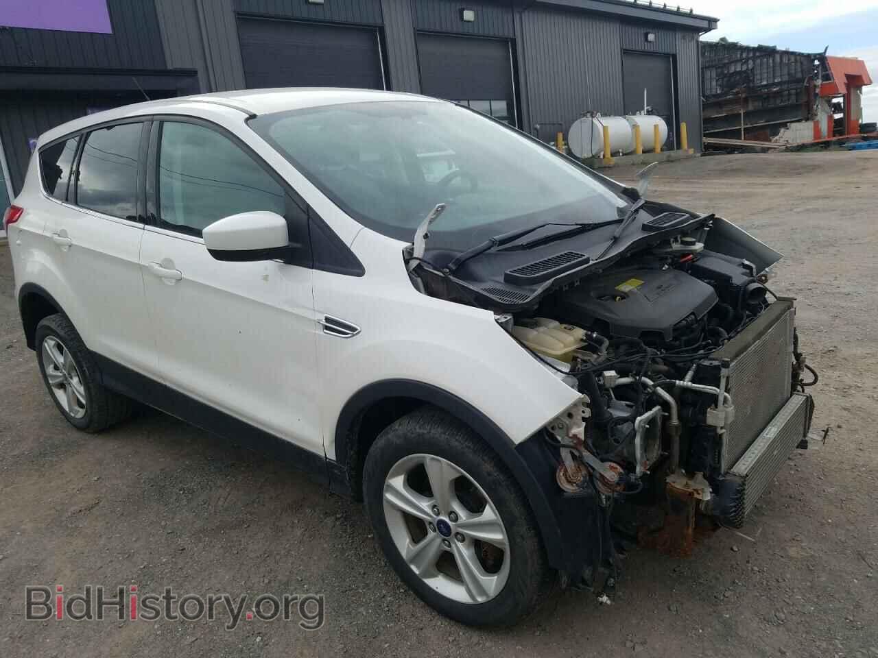 2013 FORD ESCAPE - VIN: 1FMCU0GX2DUA89004 - Фото 4