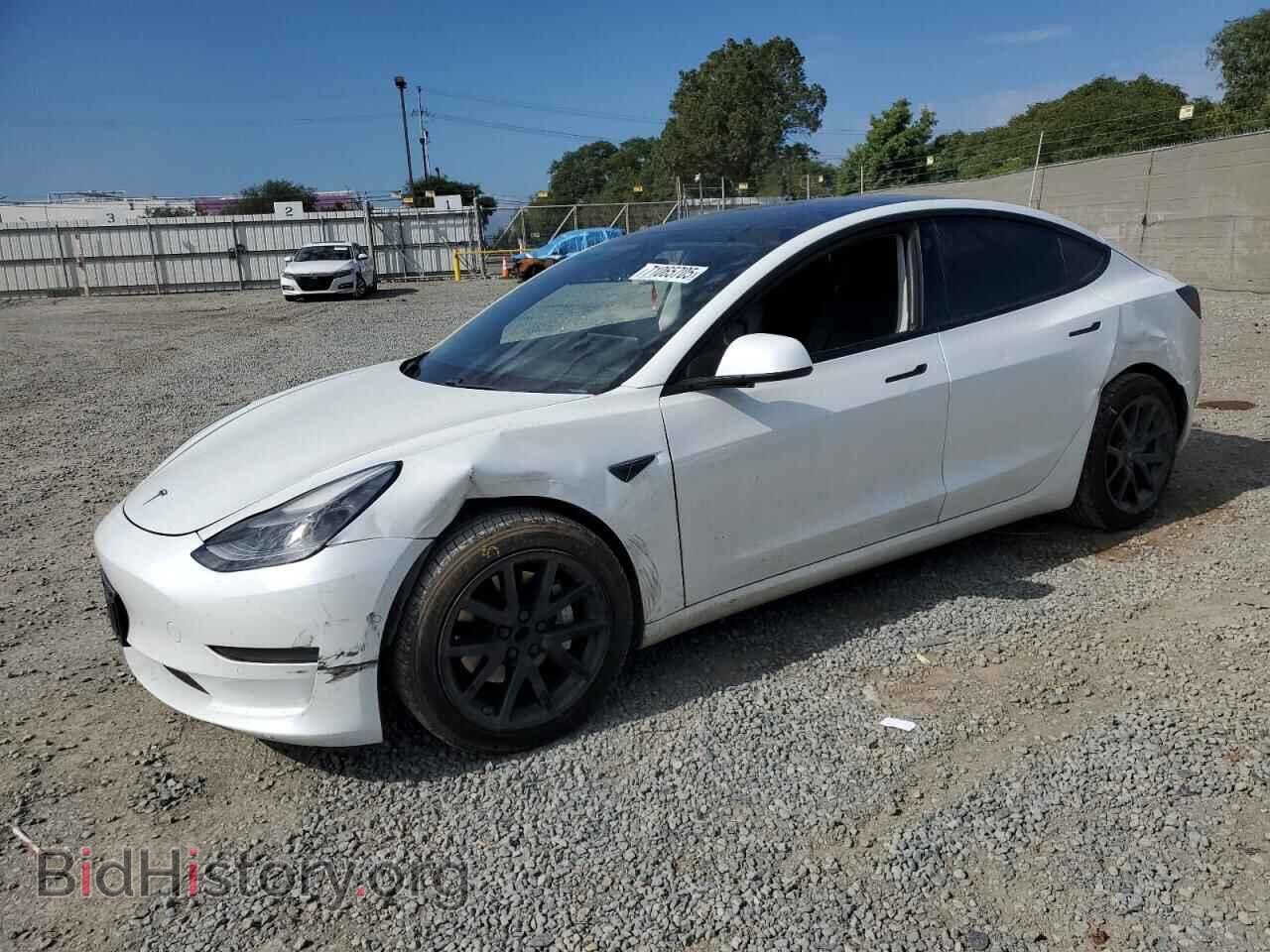 Photo 5YJ3E1EA4MF991619 - TESLA MODEL 3 2021