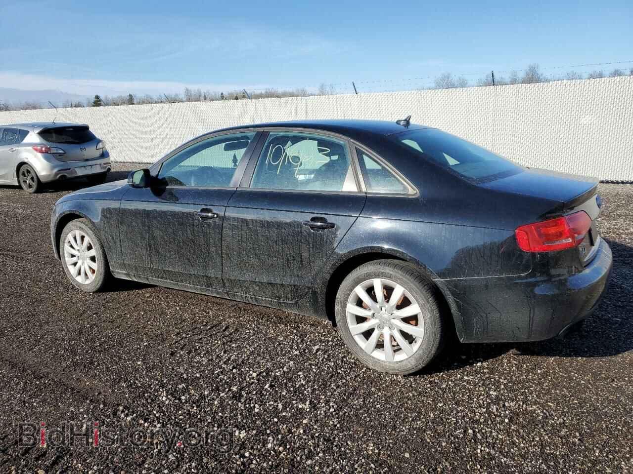 2010 AUDI A4 - VIN: WAUBFCFL3AN009187 - Фото 2