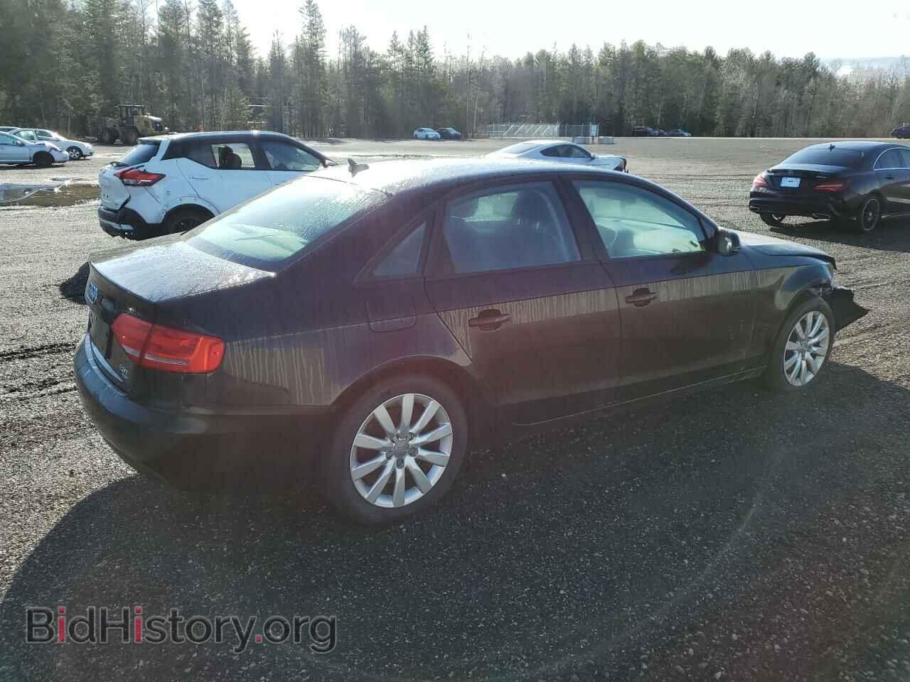 2010 AUDI A4 - VIN: WAUBFCFL3AN009187 - Фото 3