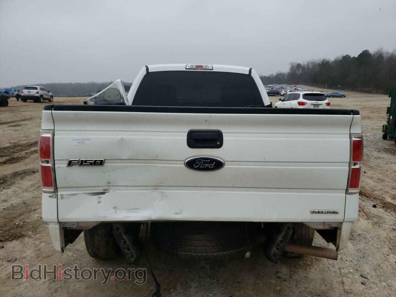 2014 FORD F150 - VIN: 1FTMF1CM6EFA23114 - Фото 6