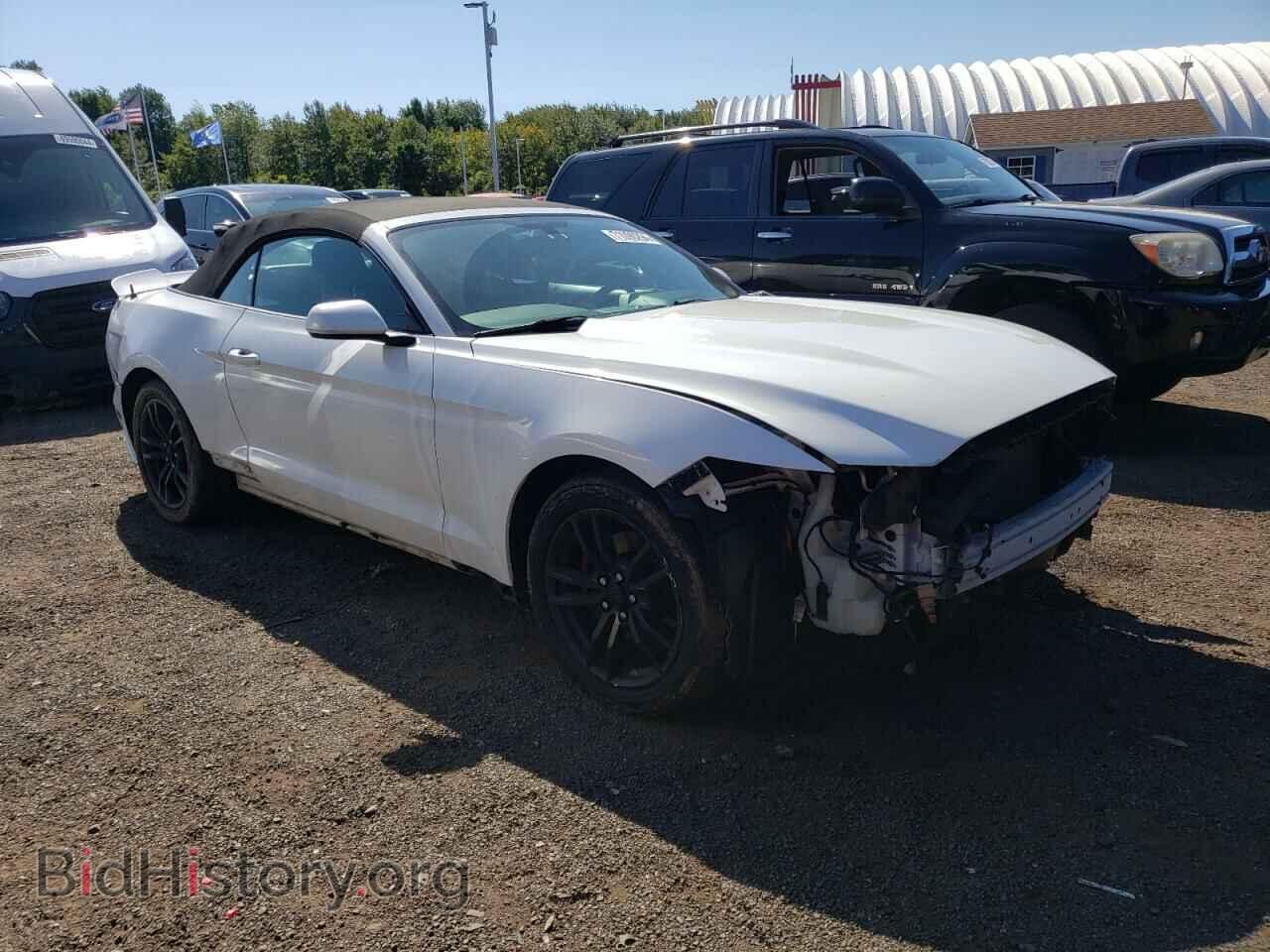 2015 FORD ALL Models - VIN: 1FATP8UH7F5356373 - Фото 4