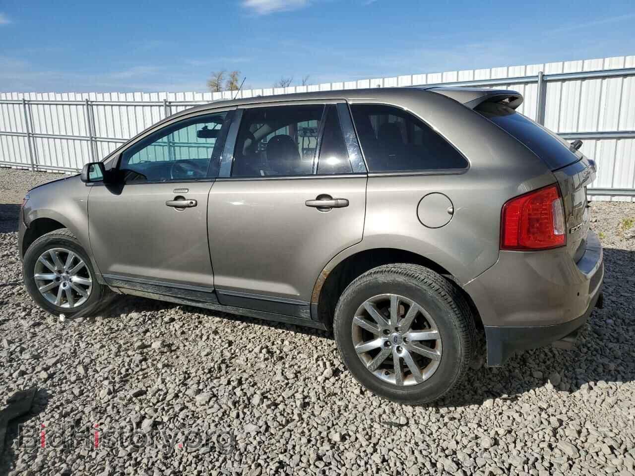 2013 FORD EDGE - VIN: 2FMDK3JC3DBE10393 - Photo 2