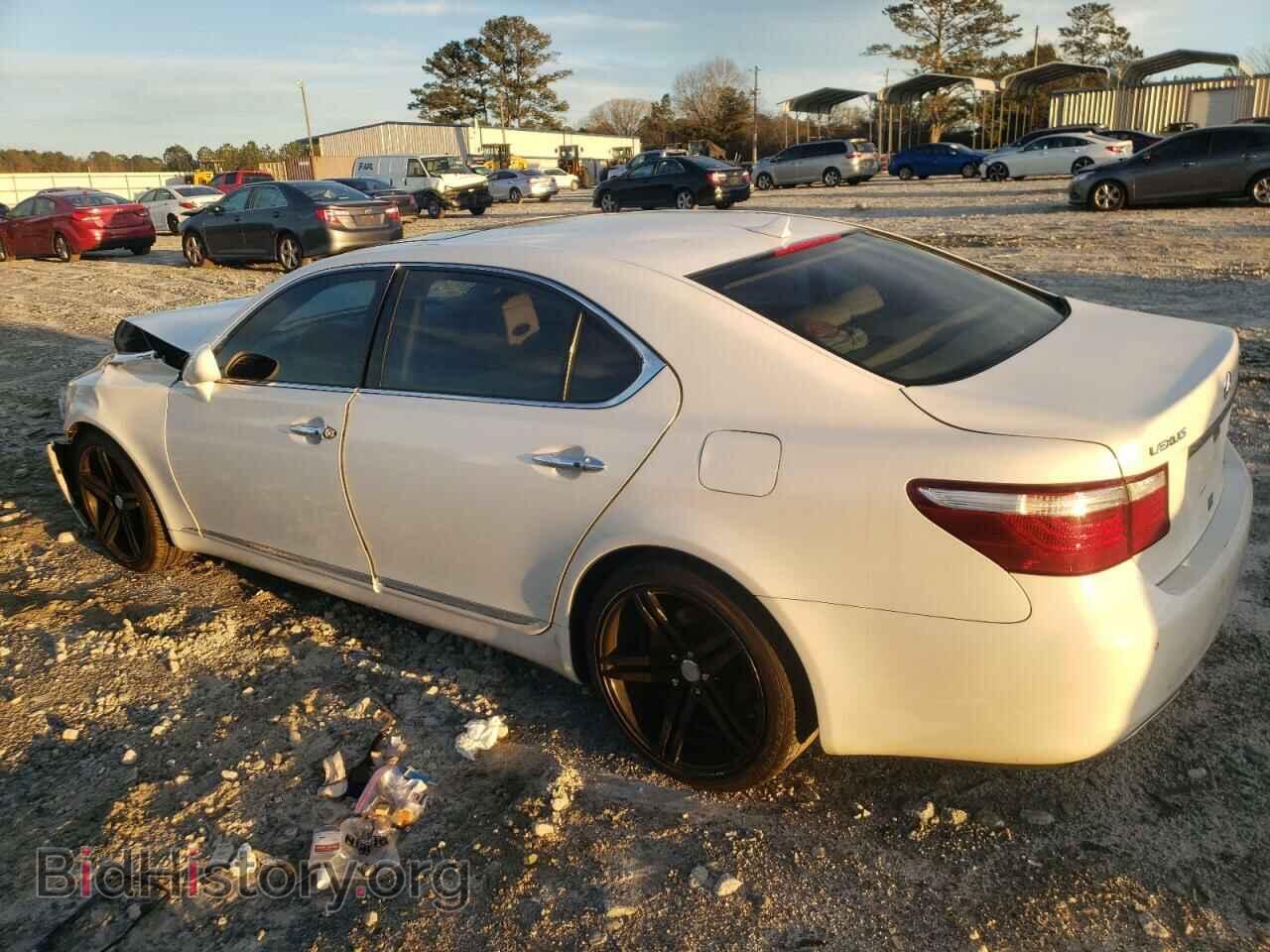 2009 LEXUS LS460 - VIN: JTHGL46F095033569 - Photo 2