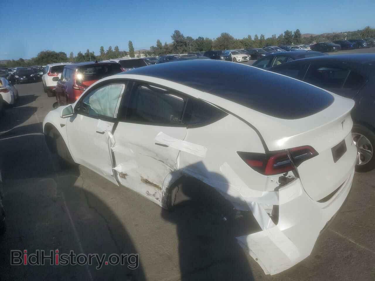 2023 TESLA MODEL Y - VIN: 7SAYGDEE1PF748880 - Фото 2