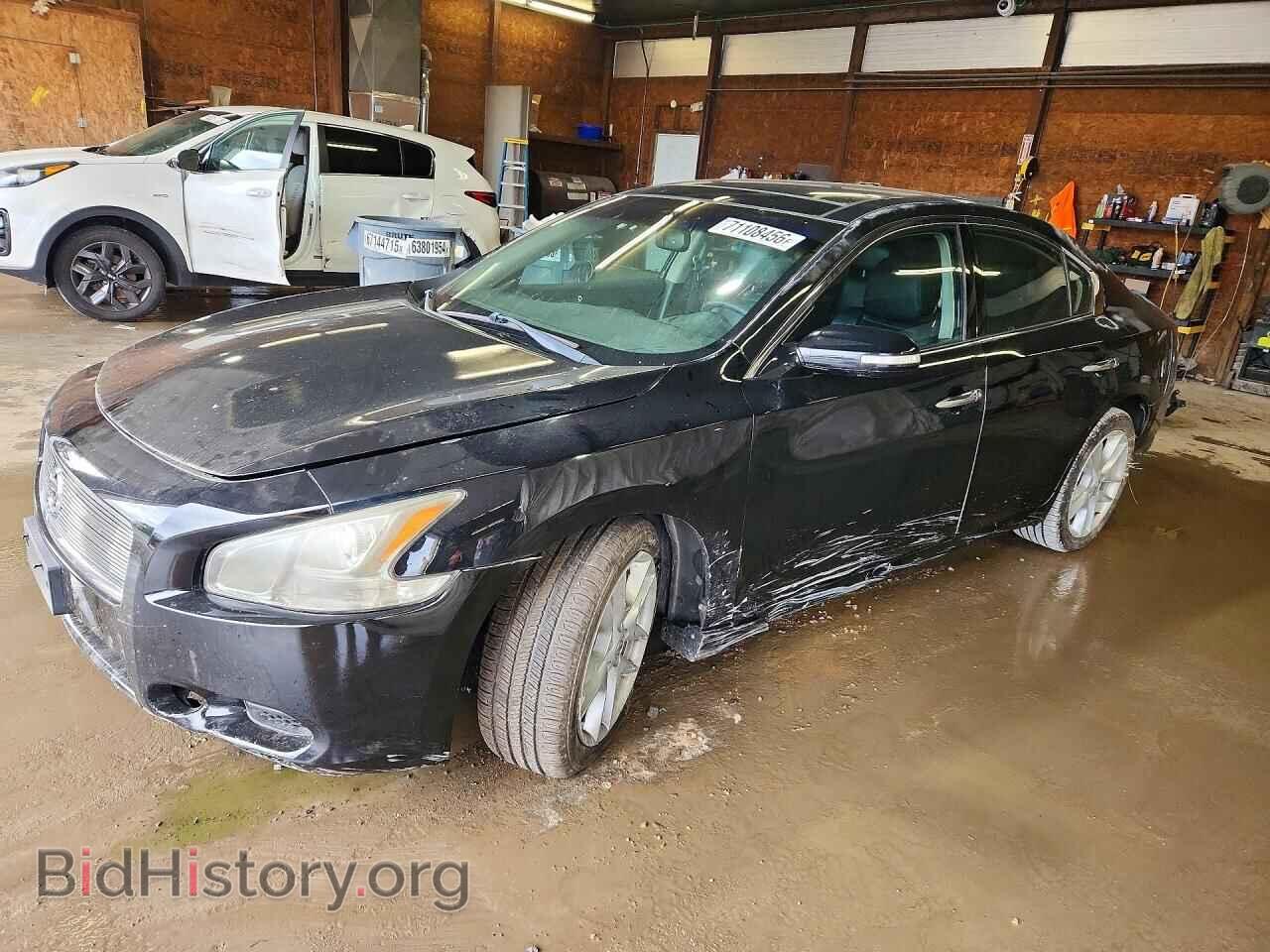 Photo 1N4AA5AP5AC841859 - NISSAN MAXIMA 2010