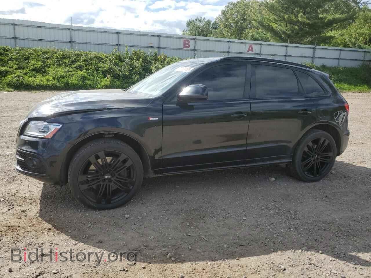 Photo WA1CGAFP1FA106179 - AUDI SQ5 2015