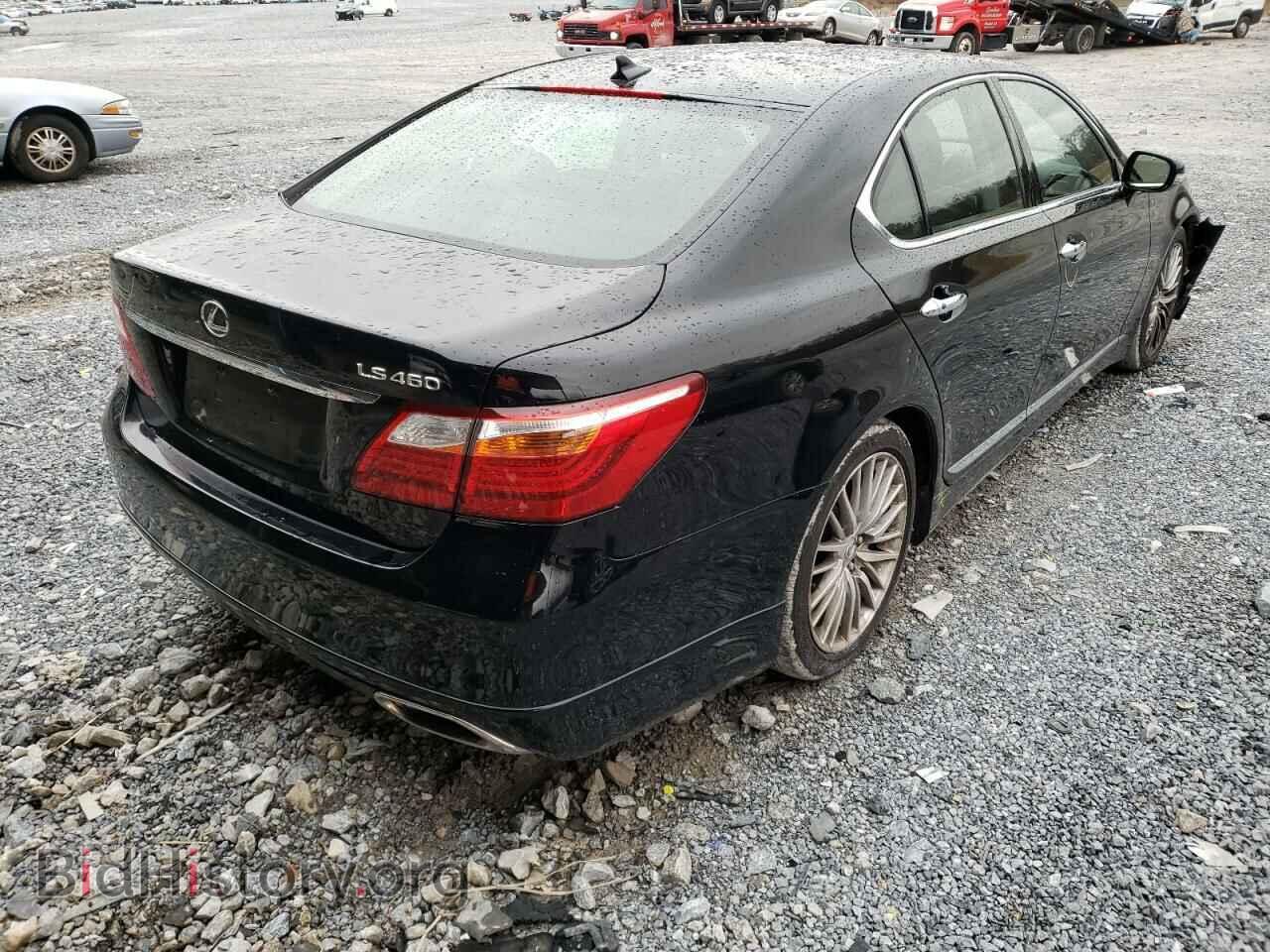 2011 LEXUS LS460 - VIN: JTHBL5EF0B5102008 - Фото 4