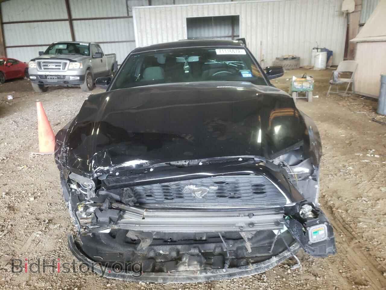 2014 FORD MUSTANG - VIN: 1ZVBP8AM4E5316173 - Фото 5