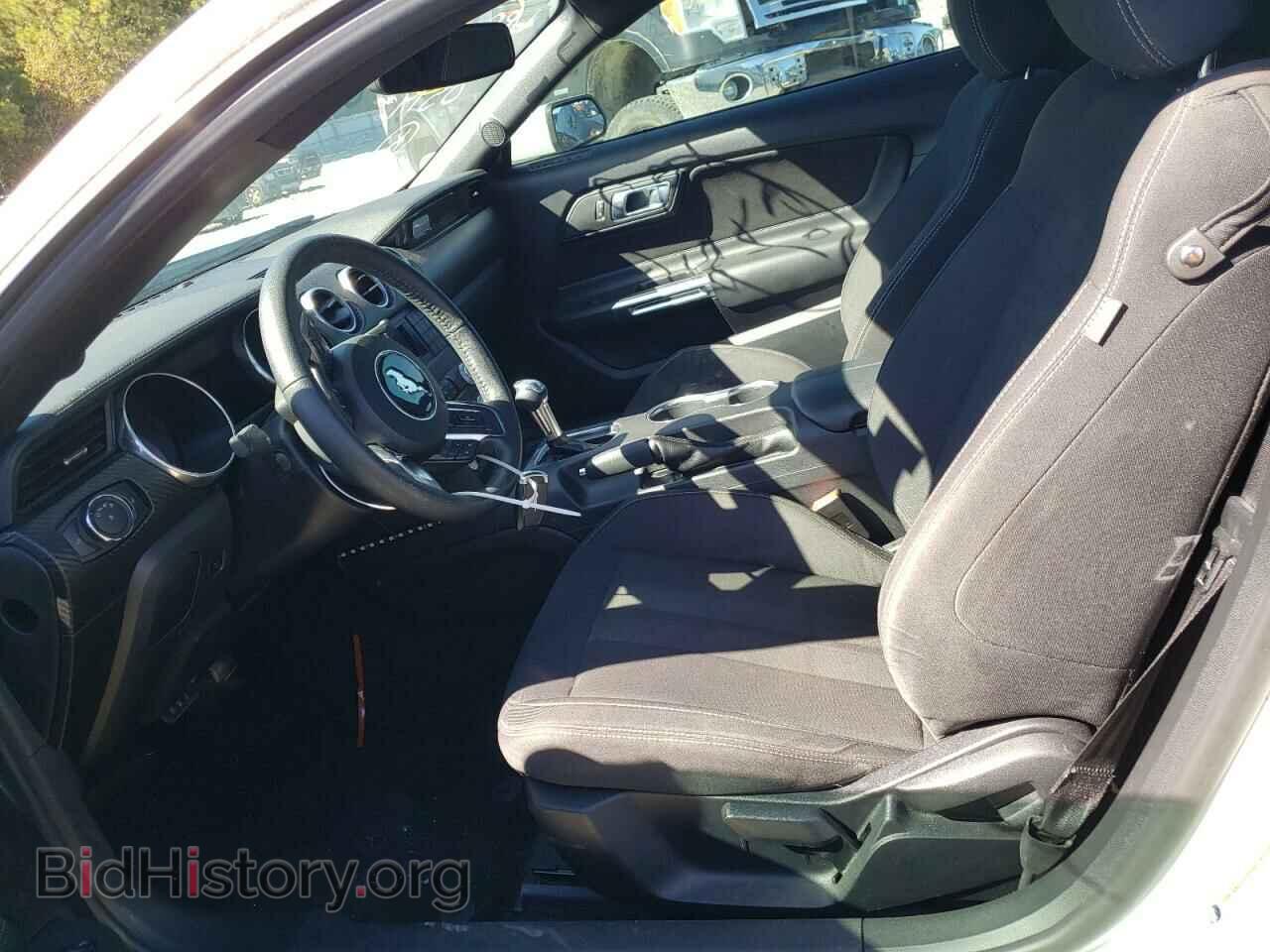 2019 FORD ALL Models - VIN: 1FA6P8TH4K5180519 - Фото 7