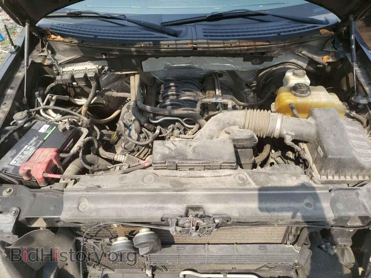 2013 FORD F-150 - VIN: 1FTFX1CF3DFD45344 - Photo 11