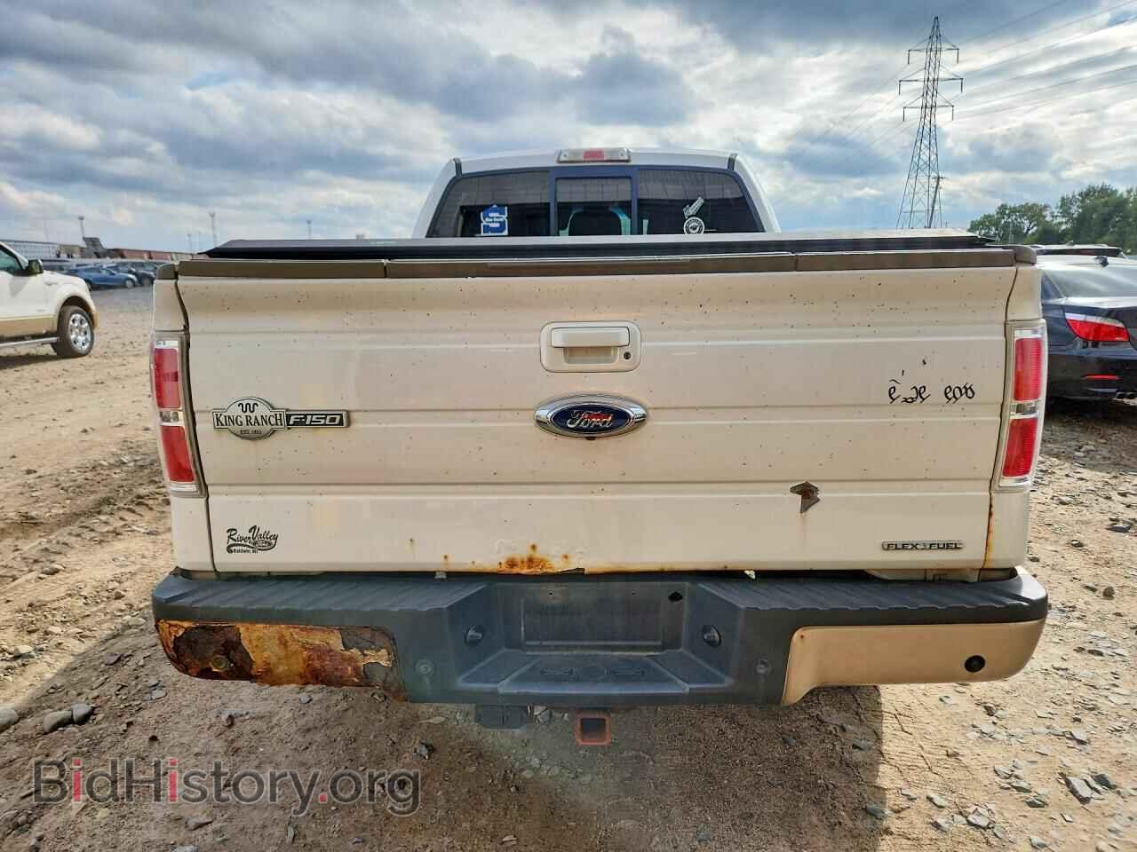 2011 FORD F150 - VIN: 1FTFW1EF0BKD11687 - Фото 6