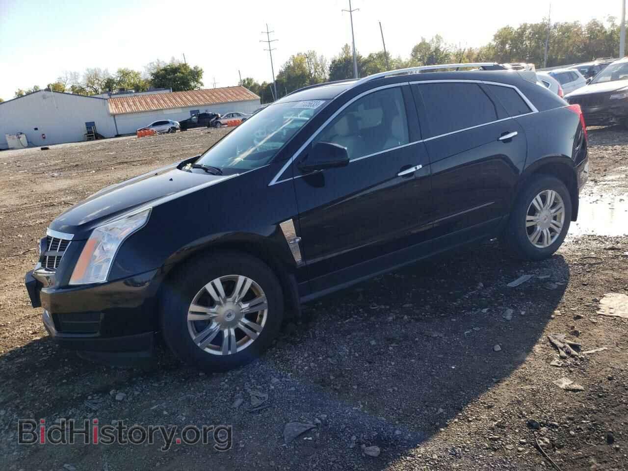 Фотография 3GYFNDE39CS595069 - CADILLAC SRX 2012