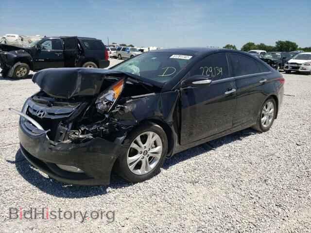 2013 HYUNDAI SONATA - VIN: 5NPEC4AC2DH623660 - Фото 2