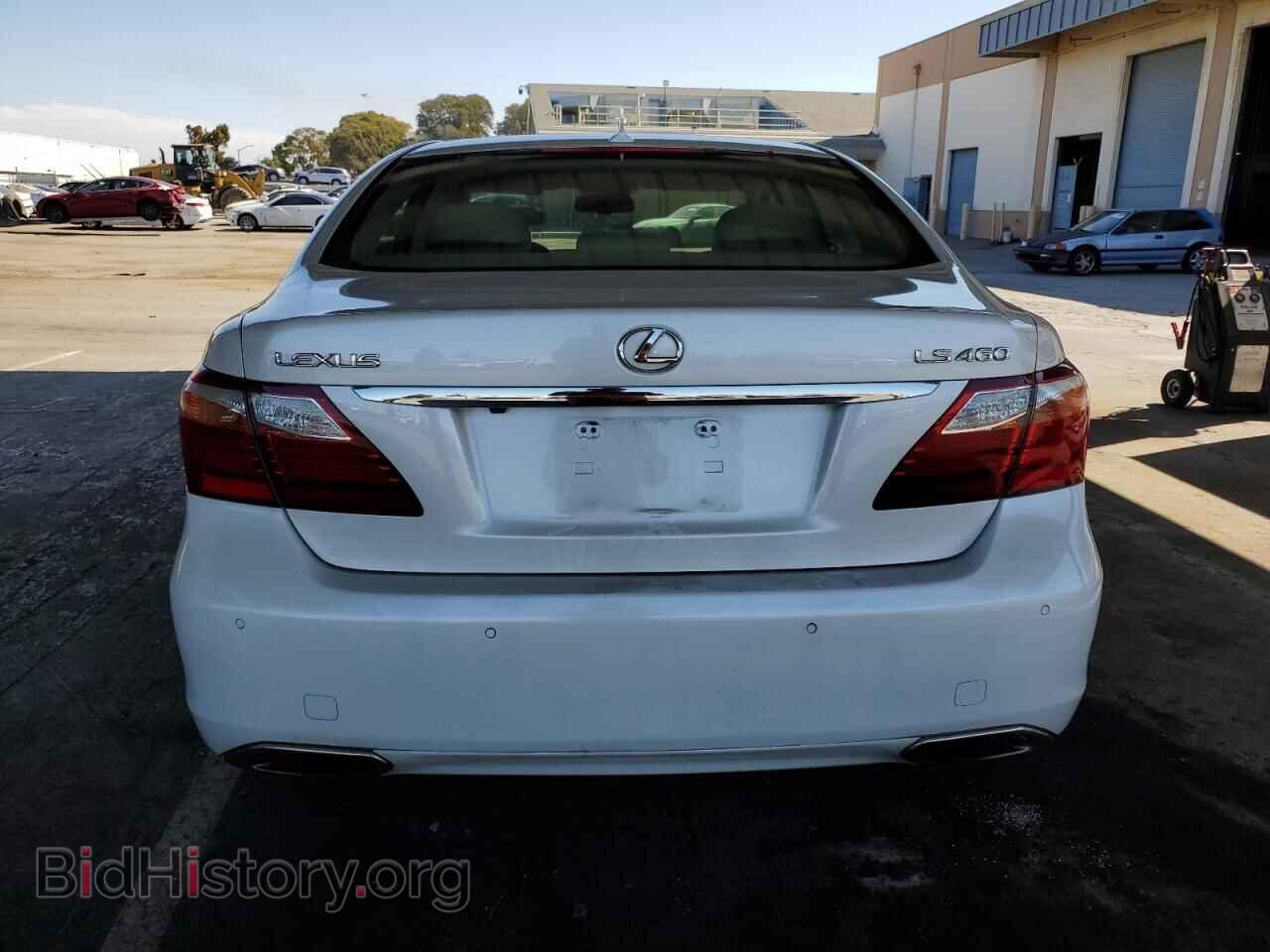 2010 LEXUS LS460 - VIN: JTHBL5EF9A5101552 - Фото 6