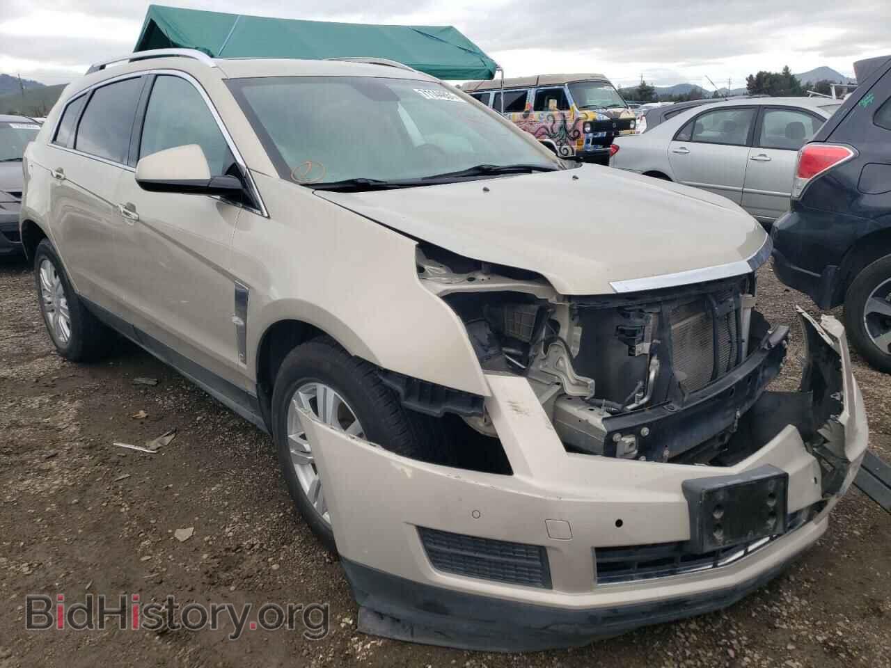 Фотография 3GYFNAE36CS591219 - CADILLAC SRX 2012