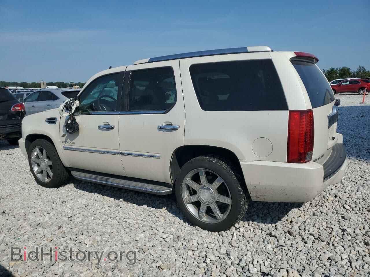 2011 CADILLAC ESCALADE - VIN: 1GYS4BEF8BR256014 - Фото 2