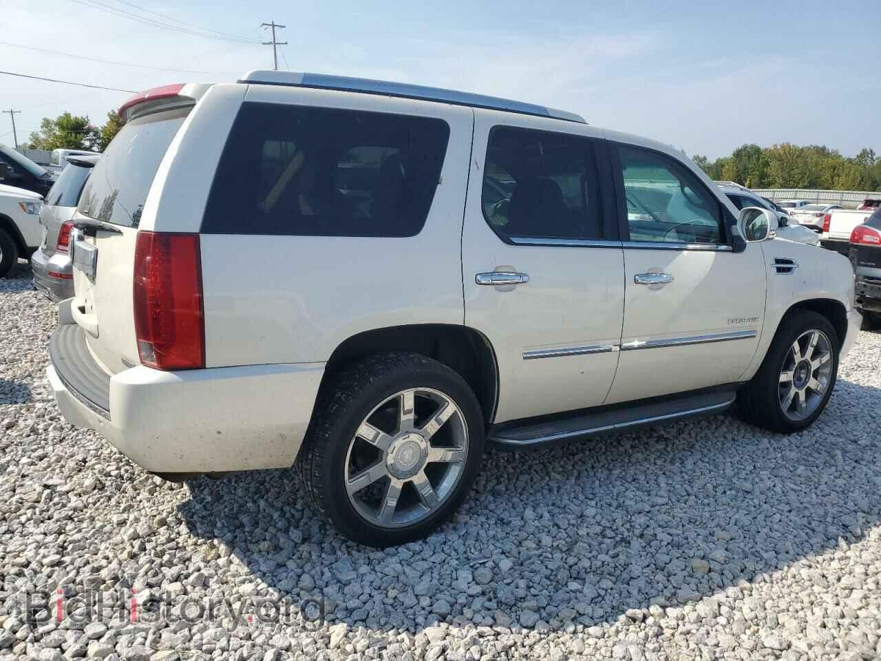 2011 CADILLAC ESCALADE - VIN: 1GYS4BEF8BR256014 - Фото 3