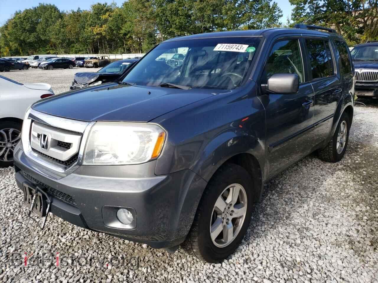 Photo 5FNYF4H46BB015705 - HONDA PILOT 2011