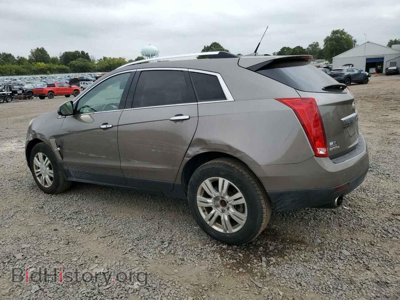 2011 CADILLAC SRX - VIN: 3GYFNDEY2BS668745 - Фото 2