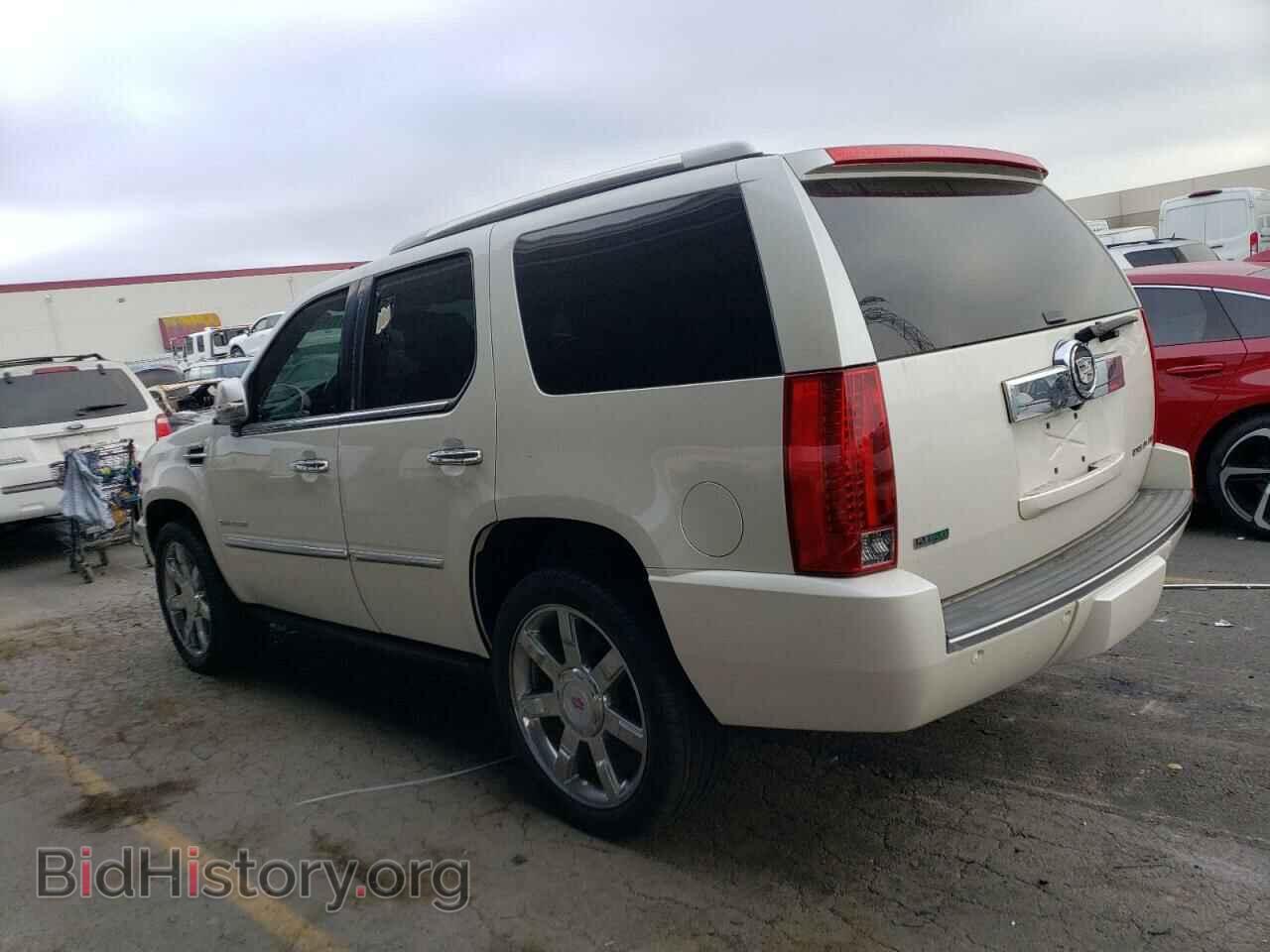 2011 CADILLAC ESCALADE - VIN: 1GYS4CEF5BR142039 - Фото 2
