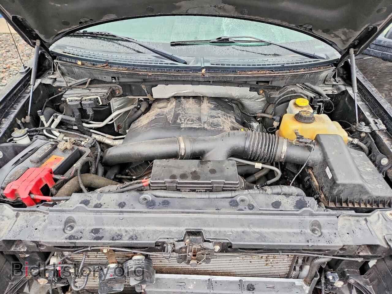2014 FORD F150 - VIN: 1FTFX1ET5EFC44892 - Фото 11
