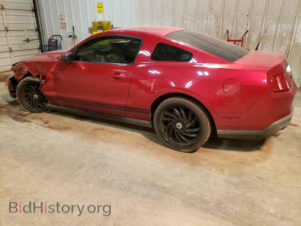 2011 FORD MUSTANG - VIN: 1ZVBP8AM3B5170134 - Фото 2