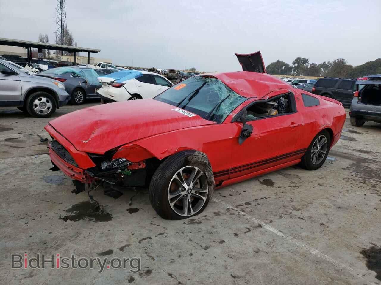 Photo 1ZVBP8AM8E5201978 - FORD MUSTANG 2014